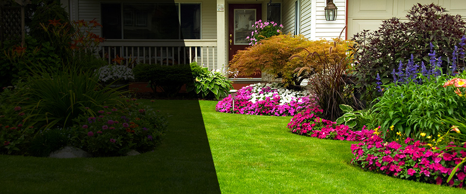 Pikeville Landscapers